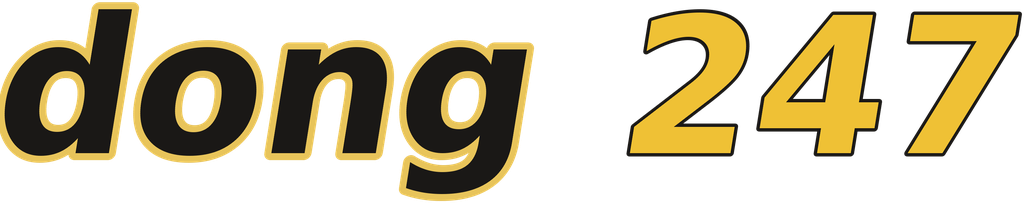 dong 247 logo